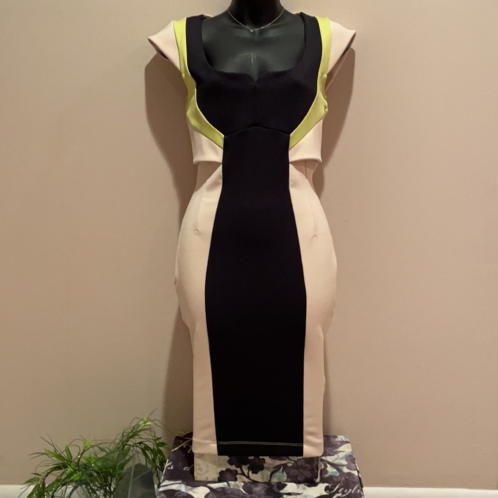 French connection dress